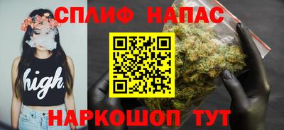 сатива Камышлов